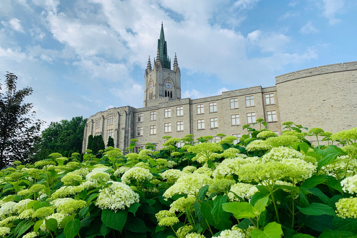 Canadian universiteis and colleges themed stock photo - MC building at University of Western Ontario in London, a view from behind / from a street below.